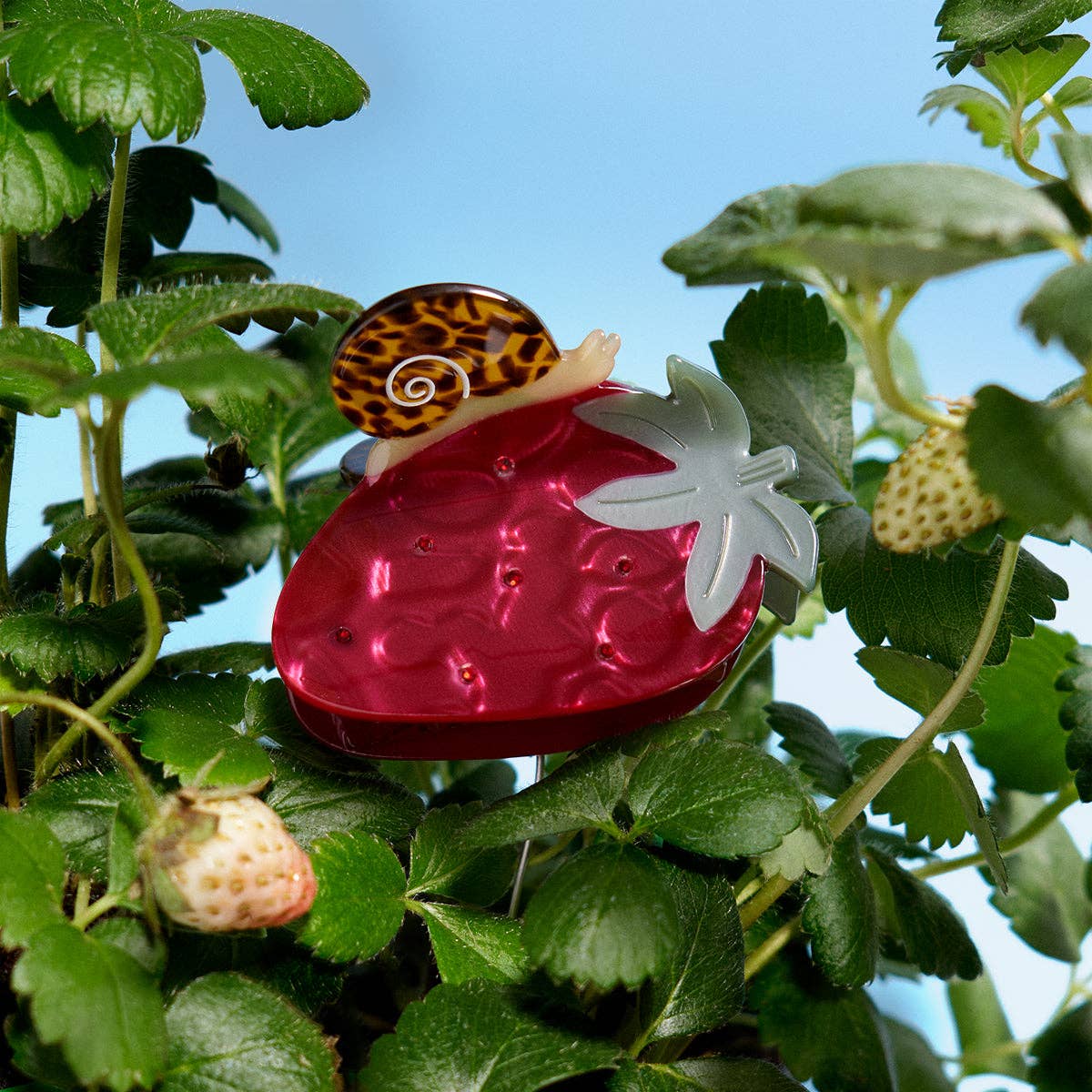 Strawberry Garden Snail Fruit Acetate Hair Claw Clip - Lalka Beauty Co.