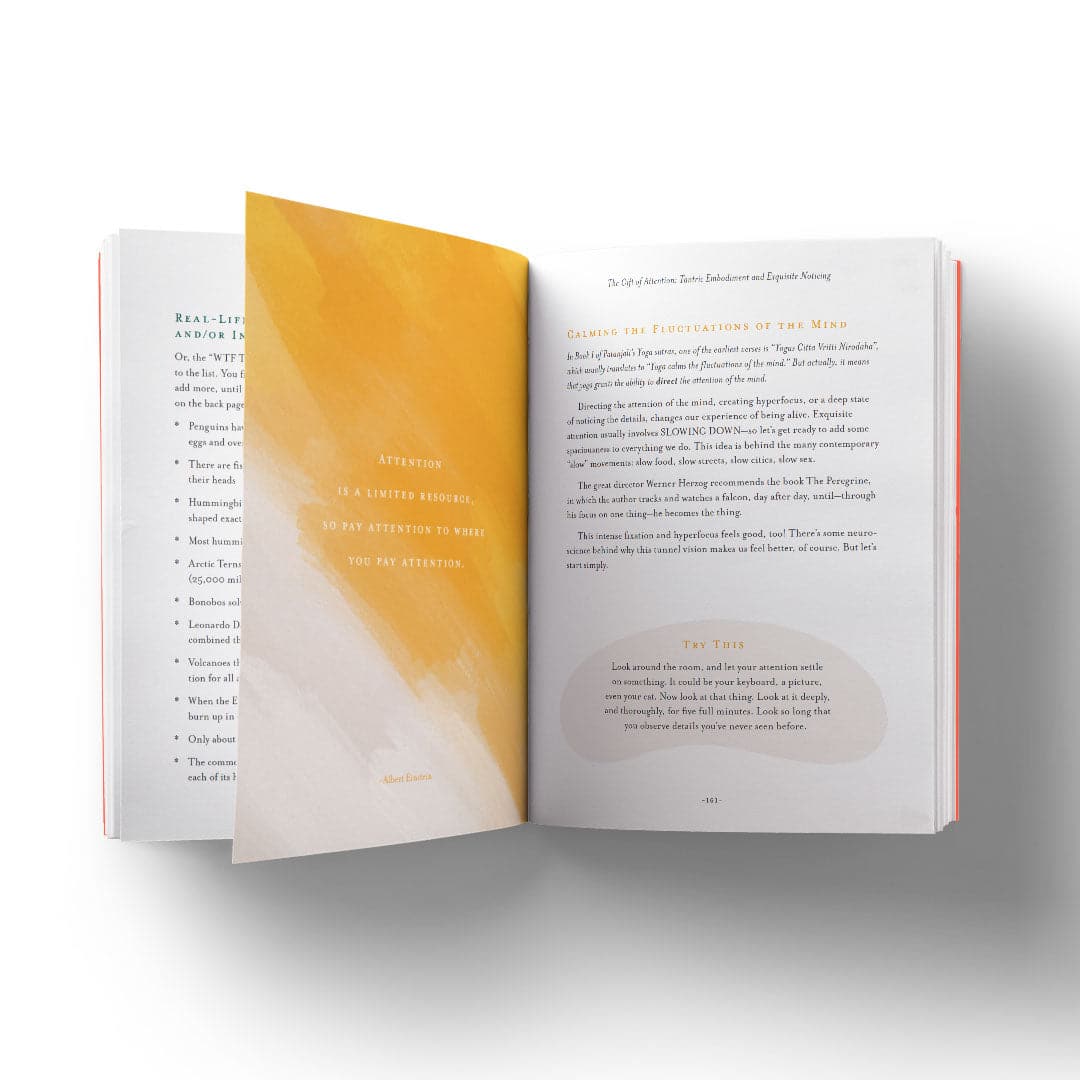 The Nine Gifts First Aid for Mind, Body and Spirit - Lalka Beauty Co.